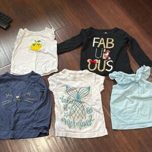 Bundle of 5 toddler girls top size 2T